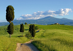 Südliche Toskana – 4****Resort am Meer